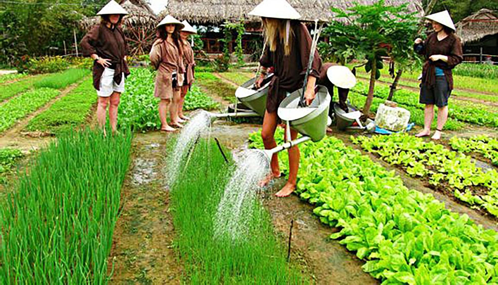 Hoi An Ocean Front Hotel Exterior foto